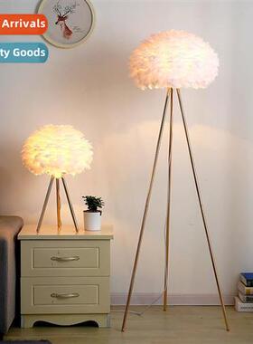 Fear floor lamp Scinavian light luxury living room sa side i