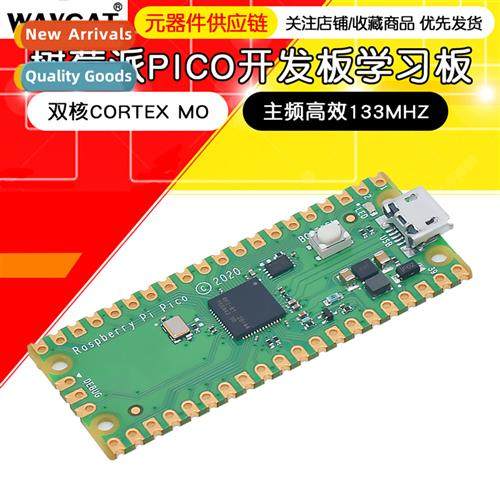 Raspberry Pi Pico development board raspberry pi PICO Dual C