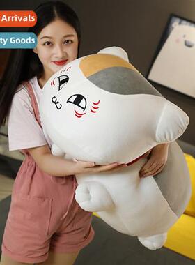 Nyankou san san natsume friend tent cat teacher doll plush t