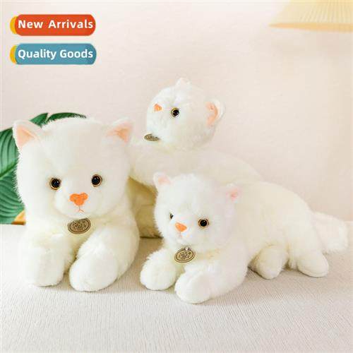 Simulati cat doll party  kten doll Persian cat plush toy dol