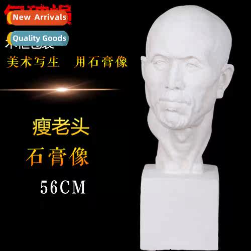 Brt plaster statue thin old man head plaster teaching aids a