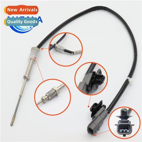 Exhaust Gas Temperature Sensor 226401632R