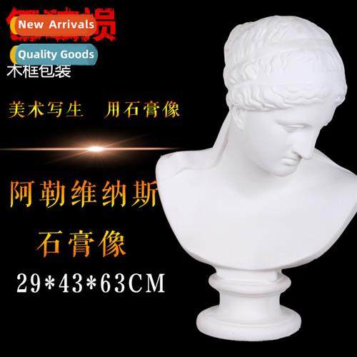 Brt Alle Venus plaster head plaster statue full body plaster