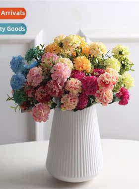 European artificial ball chrysanmum plant flower flower flow