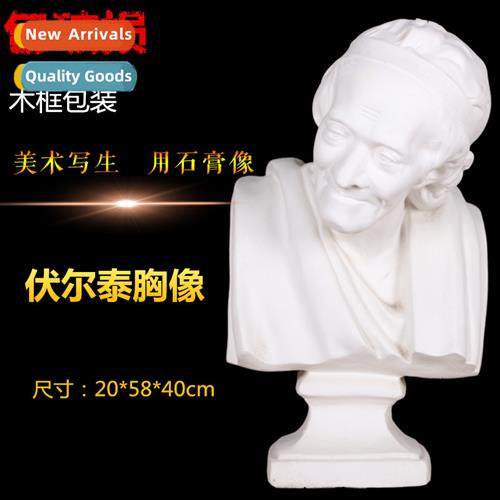 Plaster head voltaire bust art exam sketching plaster cast s