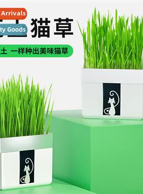 tinfoil bag lazy cat grass planting k cat green planting bal
