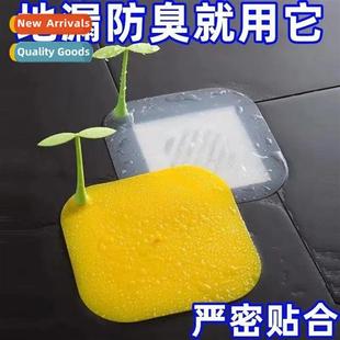 Drain Toilet Bug Bean Sewer Floor Pro Odo Sprout