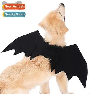 Bat Wings Golden Spooky Retrie Dog Pet Big Halloween Costume
