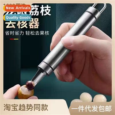 Stainless steel lgan corer remover meat digger lychee ste ki