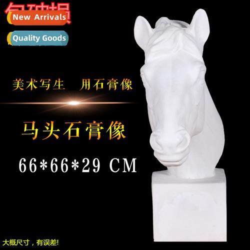 Horse head plaster statue art supplies sketching teaching ai