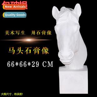 Horse head plaster statue art supplies sketching teaching ai