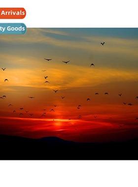 New h-applied full diamd living room small lscape decorative