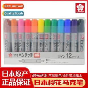color based Marker oil ended double T12 Set Sakura Japan