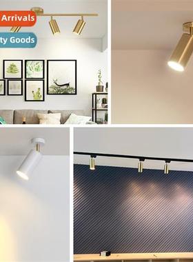 Scinavian bright led spotlight gold ceiling downlight clothi