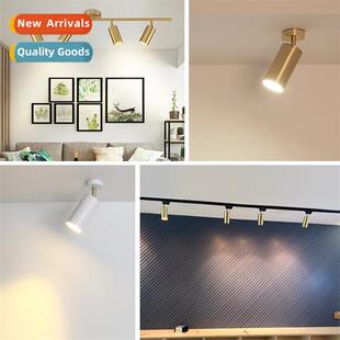 Scinavian bright led spotlight gold ceiling downlight clothi