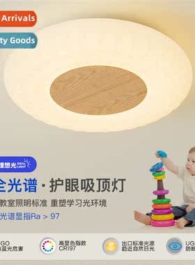 Bedroom lamps Scinavian cream wind log ceiling light modern