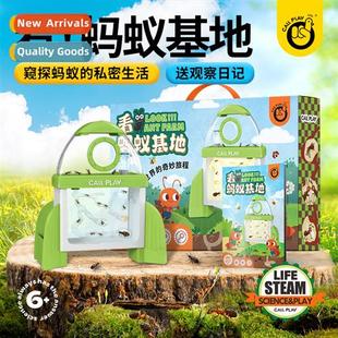 Workshop Villa Student Duck Eco Ant Castle Kotak Homes