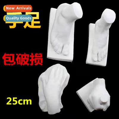 Art supplies sketching teaching aids sketching set plaster s