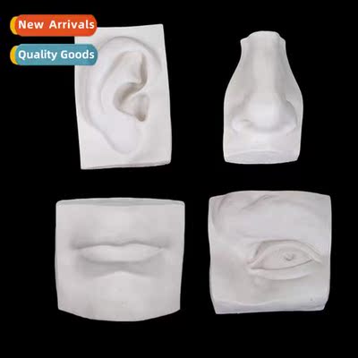 Brt set  five s plaster statue solid David five s eyes ears