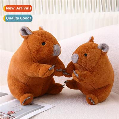 New cute simulati koala pillow plush toys dolls wombat doll