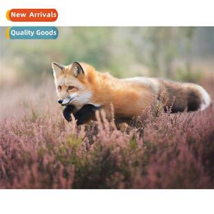 H Embroidery New DIY Flower Bush Fox Full Embroidery Simple