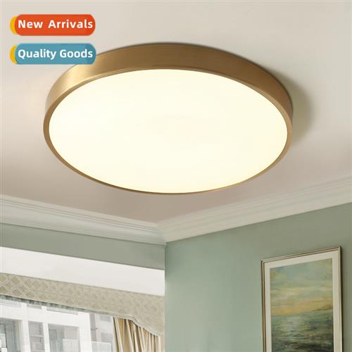 Scinavian led ceiling light simple modern living room light