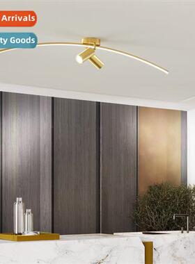 Scinavian copper living room background wall ceiling lamp li