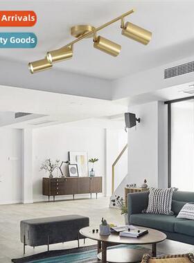 Led track lights Scinavian copper living room bedroom ceilin