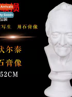 Brt Art Supplies Art Exam Sketching Teaching Aids Voltaire P