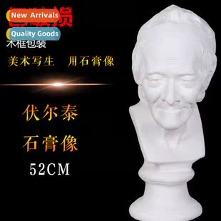 Brt Art Supplies Art Exam Sketching Teaching Aids Voltaire P