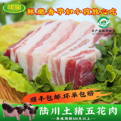 中国八大名猪之一陆川土猪