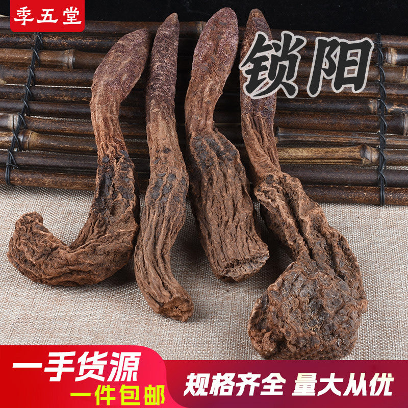 锁阳500g泡酒料男性滋补锁阳粉包金锁阳肉苁蓉淫羊藿邮代打粉