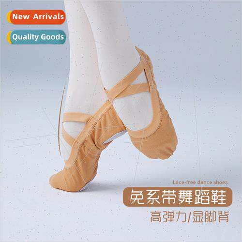 Adult Dance Shoes Practice Shoes Soft Bottom Cats Claw Shoes