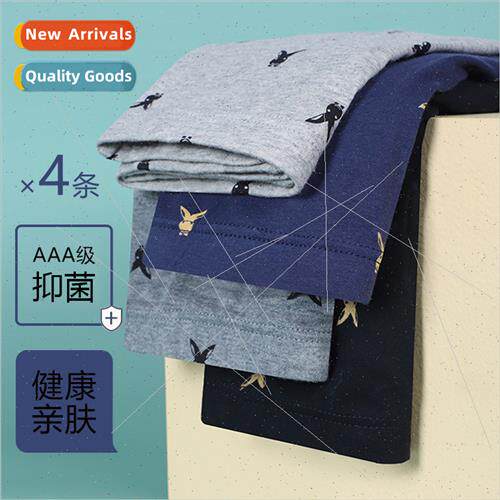 4 pairs underpants men fat big size underpants cotton loose