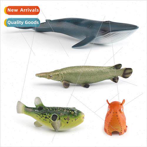 model undersea creature blue whale crocodile eel river trigg