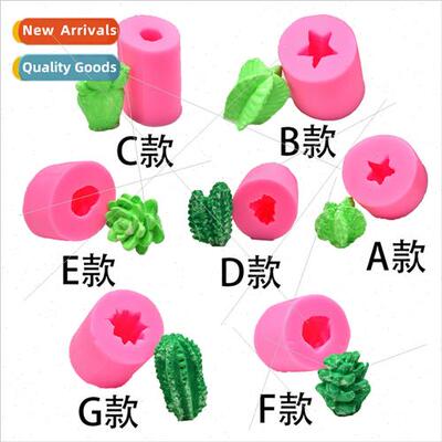 DIY Cake Baking Fondant Cake Decoration Chocolate Succulent