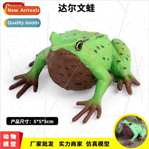 mulation animal model frog Darwin poisonous frog triangle wh
