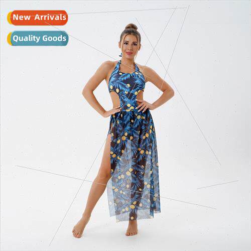 2024 New Europe Mesh One Piece Two Piece Ladies Printed Sexy