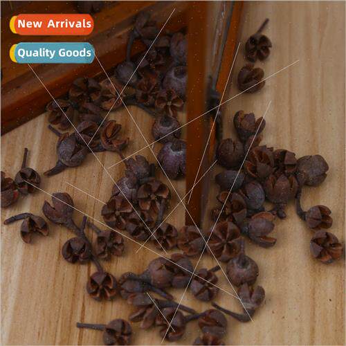 Vintage dried flowers dried fru fru pine cones Passepartout