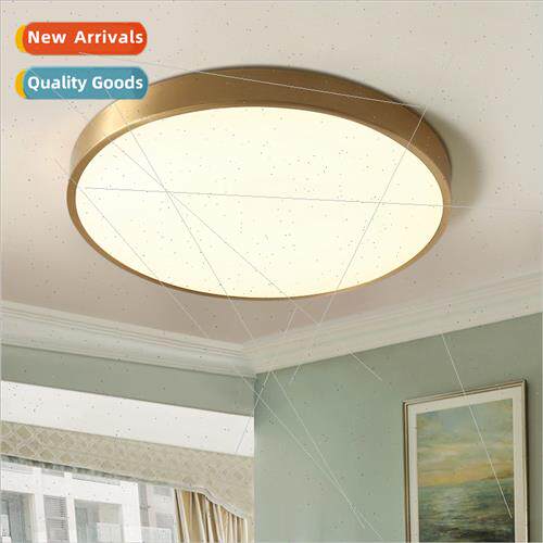 Scandinavian led ceiling light simple modern living room lig