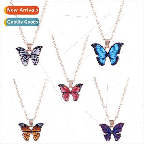 new sweater chain fashion zinc alloy baking paint colorful b