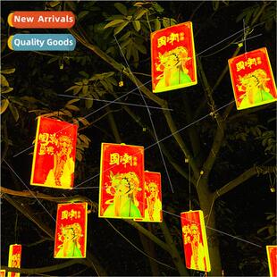 Chinese national tide New lights Eve hanging Year