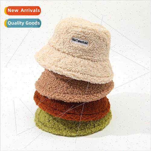 Cartoon puppy hat female autumn winter plush hat big head ci