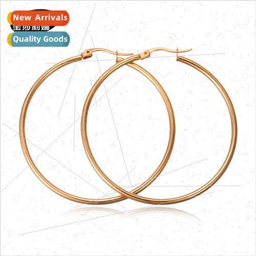 Korea jewelry temperament simple atmosphere earrings tanium