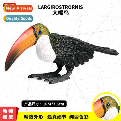 Animal solid wild birds animal world toucan toucan parrot ch