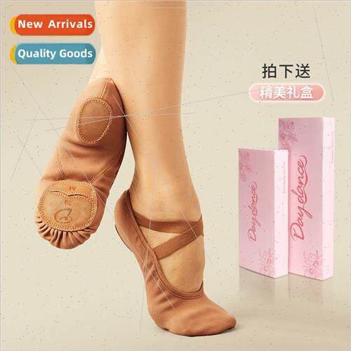 Full elastic cloth dance shoes female soft sole practice sho