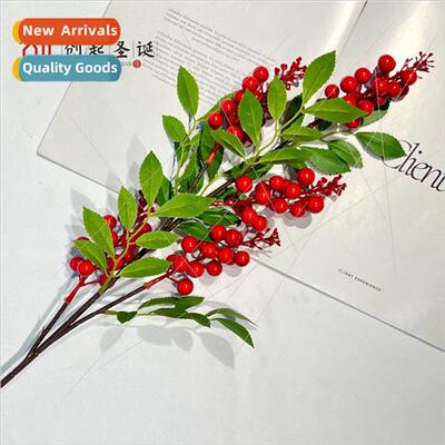 mulation berries autumn fru tune fru red fru holly fru foam