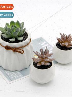 Creative simulation potted plants desktop ornaments Europe h
