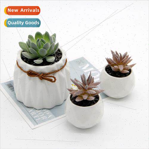 Creative simulation potted plants desktop ornaments Europe h