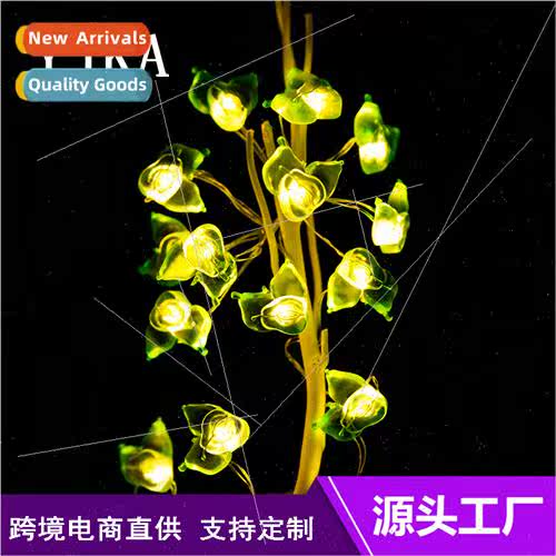 LED Sydney Battery Box String ghts Holiday Party Christmas L